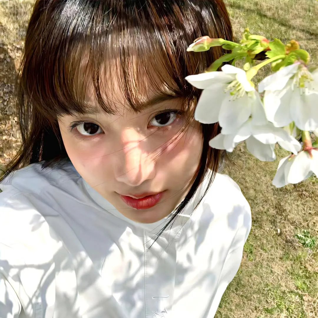 演员苏婉清照片